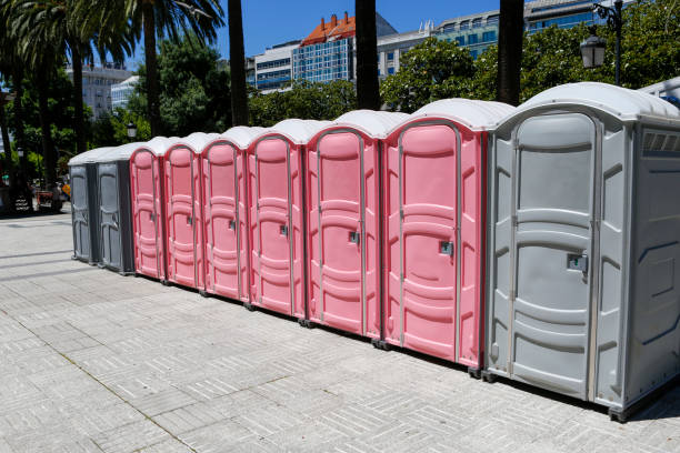 Professional Portable Potty Rental in Woodland Park, NE